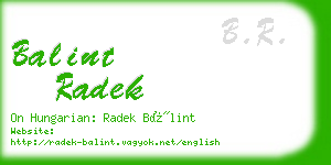 balint radek business card